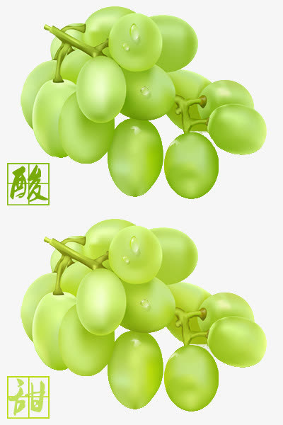 葡萄免抠