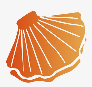 海洋大世界-贝壳免抠