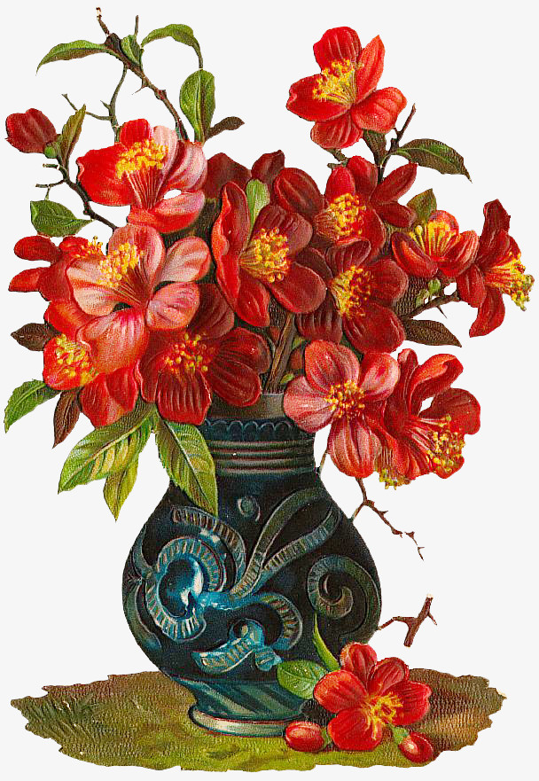 复古花卉植物图谱免抠