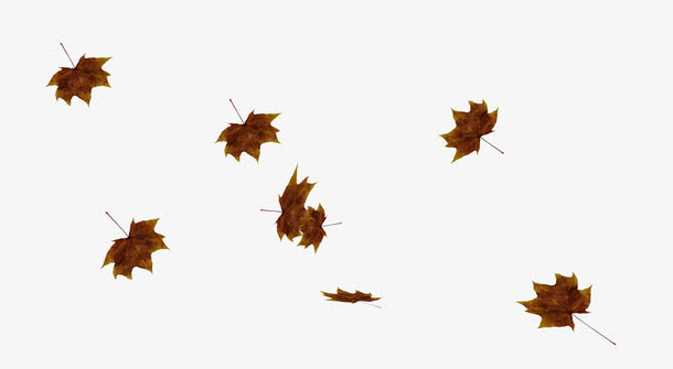 漂浮棕色叶子免抠