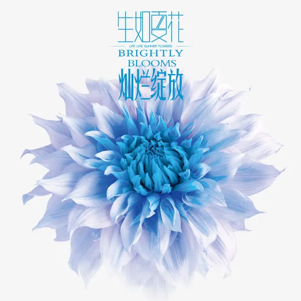 生如夏花免抠