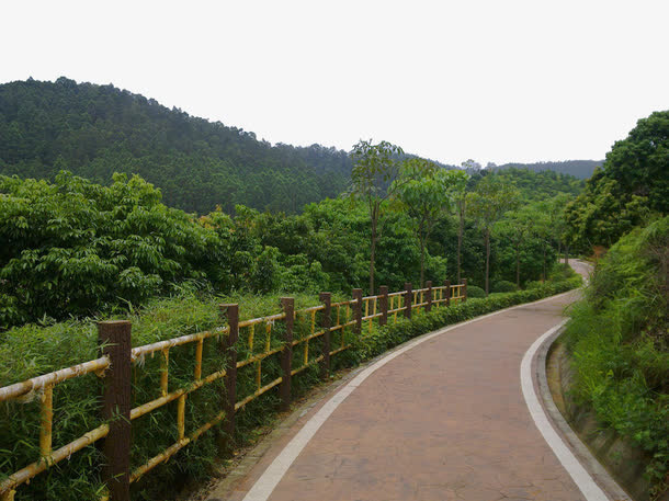 山间小路免抠