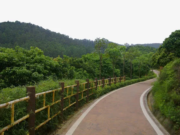 山间小路免抠