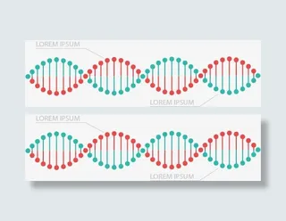 基因序列信息表免抠