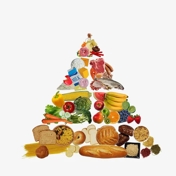健康科学膳食金字塔免抠