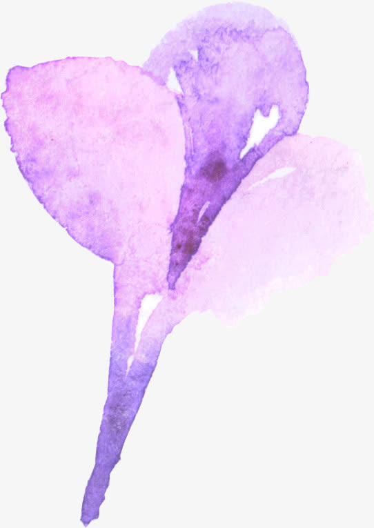 漂浮花免抠