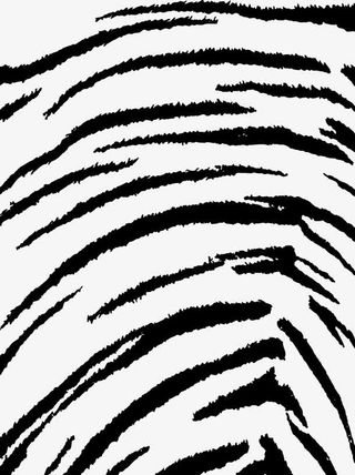 时尚虎皮纹图案免抠装饰花纹元素