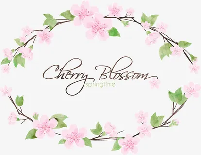 矢量樱桃开花枝插图免抠 矢量樱桃开花枝插图免抠