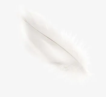 羽毛免抠