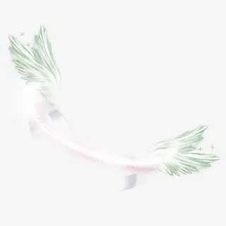 绿色的翅膀光环免抠