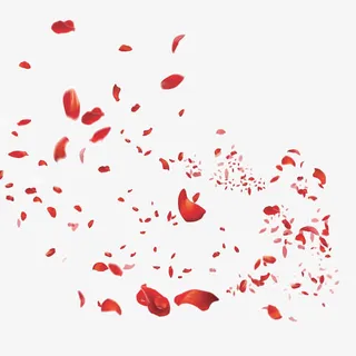 玫瑰花瓣漂浮免抠