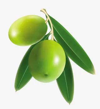 绿色水果绿色叶子免抠