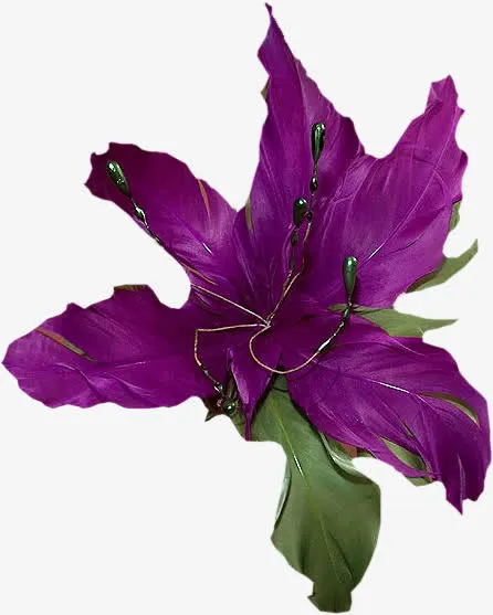 花草装饰素材免抠