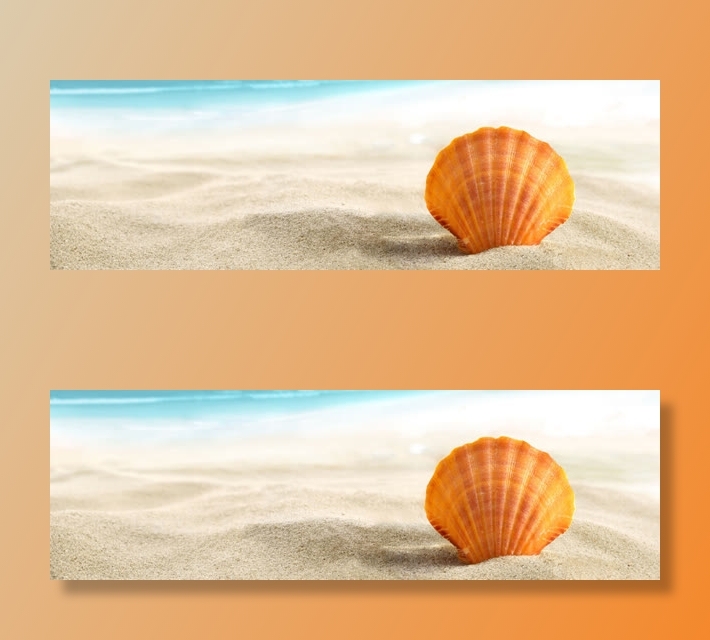 海边沙滩贝壳免抠背景banner海报元素