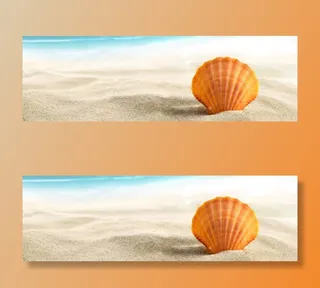 海边沙滩贝壳免抠背景banner海报元素