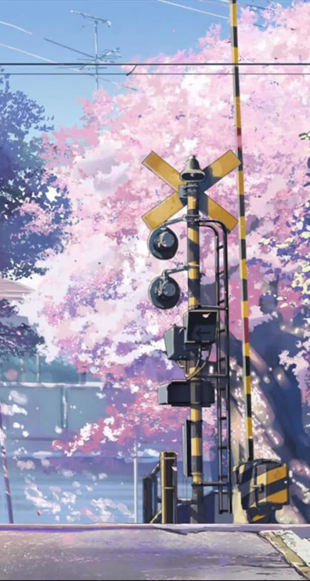 手绘粉色樱花红绿灯免抠