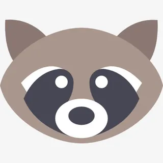 Raccoon 图标免抠