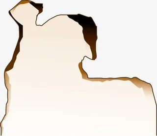 燃烧后的纸张免抠