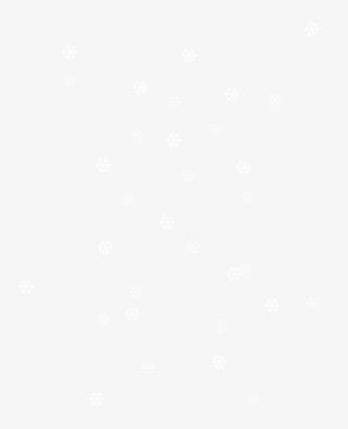 冬天飘着的雪花免抠