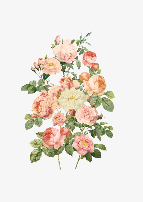 手绘鲜花水彩花朵免抠