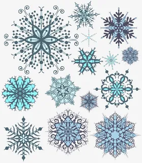 各式花纹图案免抠