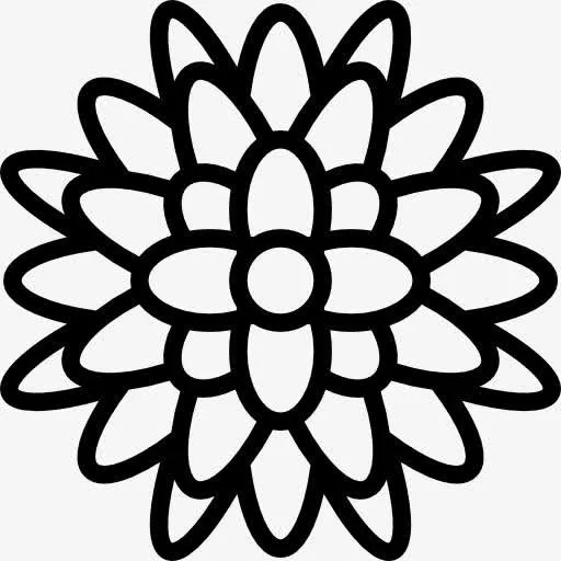 菊花图标免抠