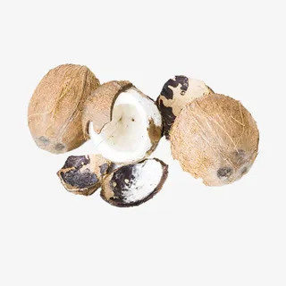 多种椰子油免抠