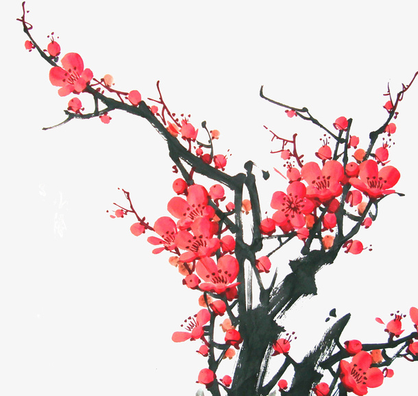 红色梅花免抠