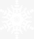 冬季手绘白色雪花免抠