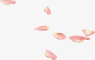 粉色新鲜花瓣美景免抠