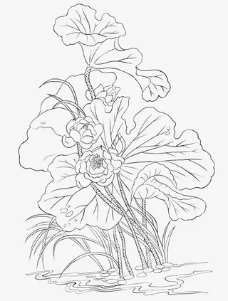 精致莲花线稿免抠