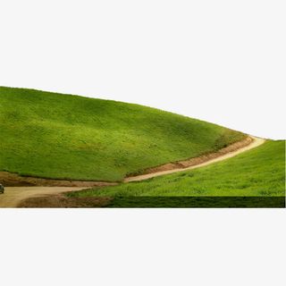 茫茫的草地免抠