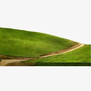 茫茫的草地免抠