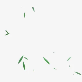 飘散竹叶免抠