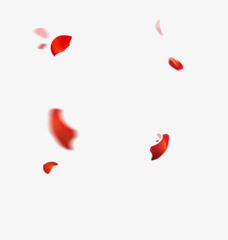 花瓣装饰化妆品女装行业免抠