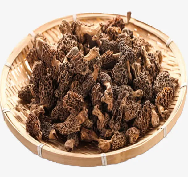 云南优质羊肚菌免抠