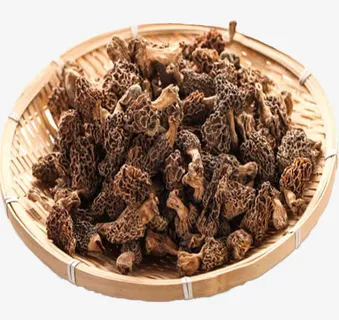 云南优质羊肚菌免抠