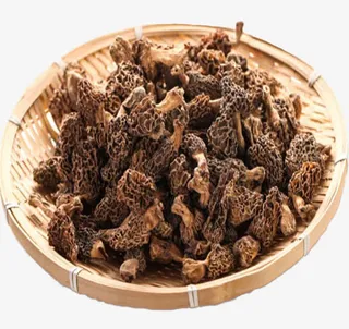 云南优质羊肚菌免抠