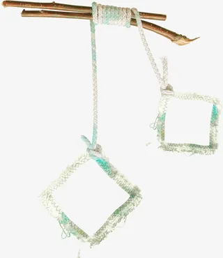 树枝花纹框架免抠