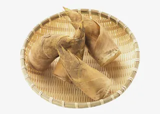 褐色简约竹笋装饰图案免抠