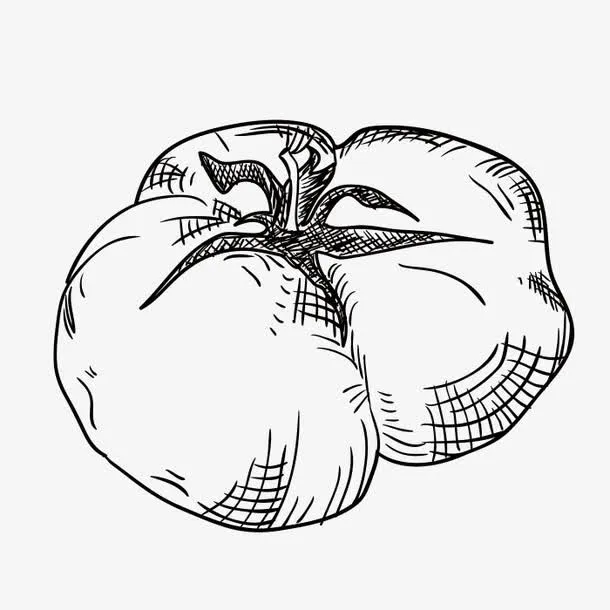 手绘西红柿免抠