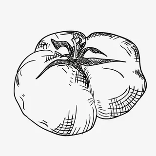 手绘西红柿免抠