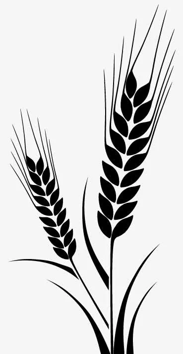 黑色麦穗免抠