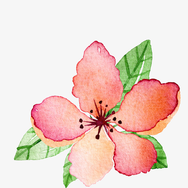 高清免抠手绘水彩花卉素材免抠