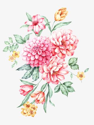 水彩牡丹花免抠