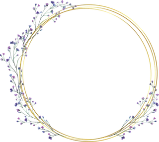 臂贴，圆贴，高清