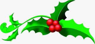 绿色卡通节日果实圣诞免抠