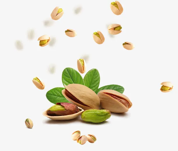 散落开心果免抠素材免抠