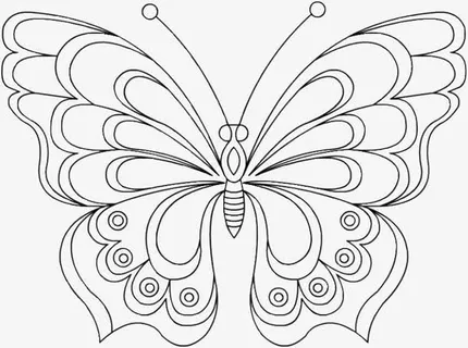 美丽的蝴蝶准备飞翔免抠