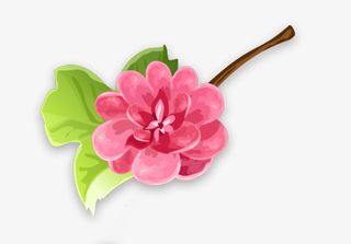 粉红色的小花春天夏天元素免抠